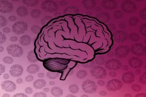 Test 2026