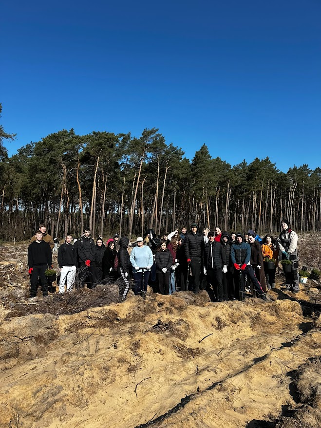 Grupa osób sadzi drzewa na tle lasu pod jasnym, niebieskim niebem.